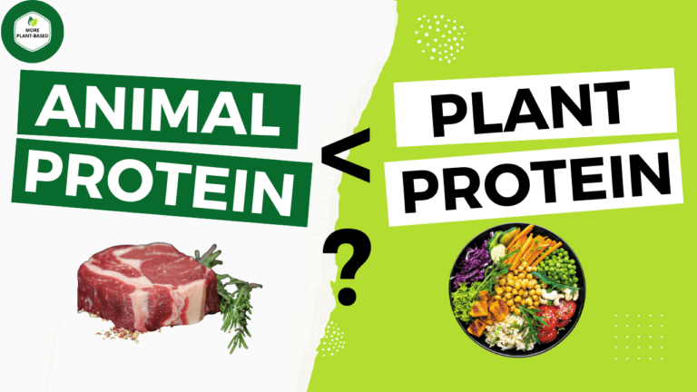 Is Plant Protein better than Animal Protein?