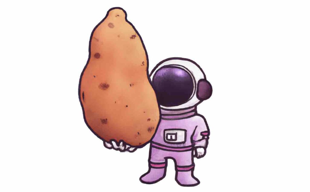 astronaut holding sweet potato