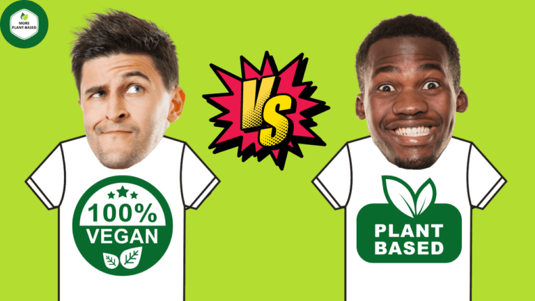 vegan vs plant-based